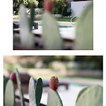 Horizon Villa Asgourou