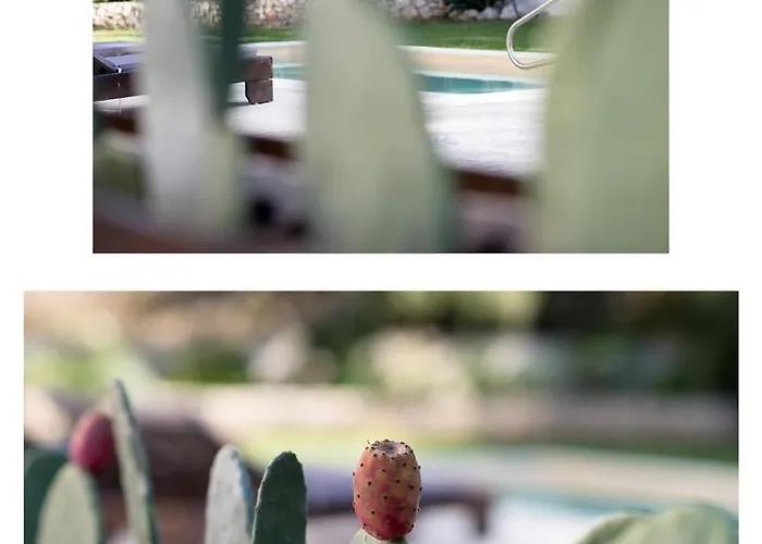 Horizon Villa Asgourou