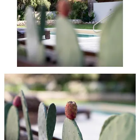 Horizon 别墅 阿斯格罗